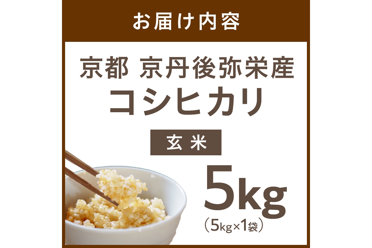 【先行予約】丹後弥栄産コシヒカリ（玄米5kg）コシヒカリ 玄米 おこめ おにぎり 京都産 お米 ふるさと納税 こしひかり　NF00005