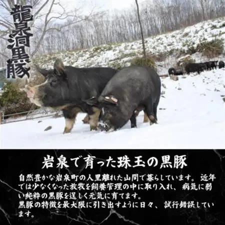 黒豚ウィンナーソーセージ　50本(10PC)セット【龍泉洞黒豚100%使用】食品添加物不使用【配送不可地域：離島】【1618819】