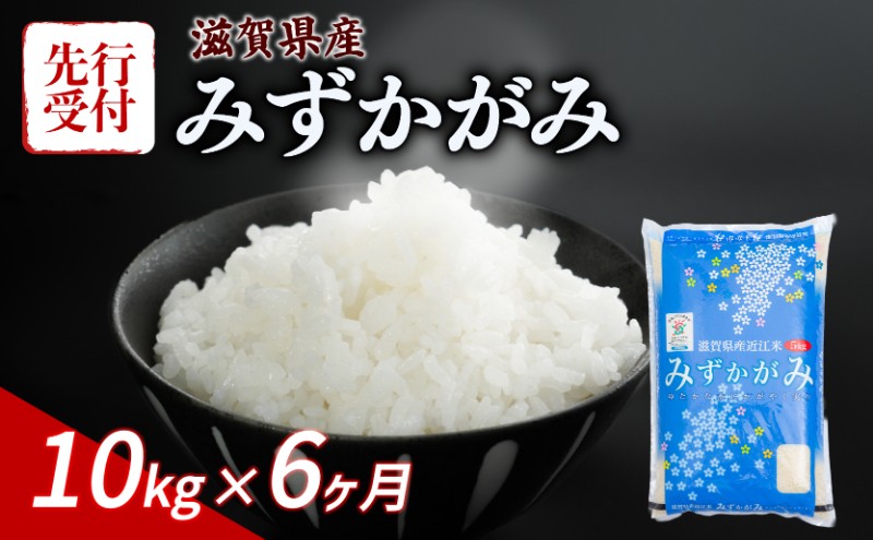 
                  【令和8年産】 先行予約 新米 みずかがみ 10kg (5kg×2) 6ヶ月定期便 令和8年産 米 こめ ご飯 米 定期便 6回定期便 6か月定期便 6回 6か月 10キロ 令和8年 滋賀 彦根
                