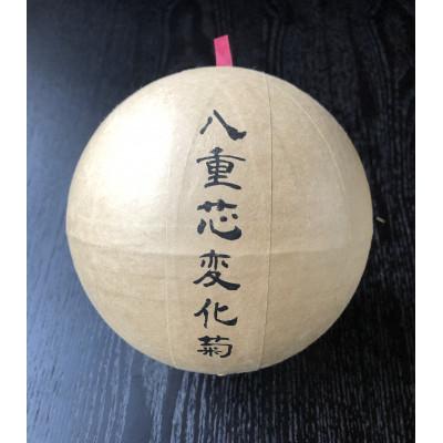 ふるさと納税 豊田市 花火玉レプリカ(模擬玉)