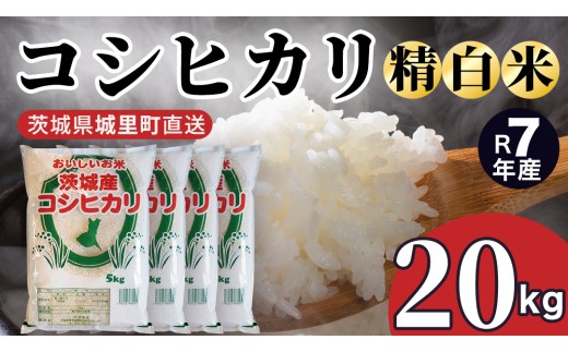 【令和7年産】 コシヒカリ 精米 20kg 令和7年産 スピード出荷 最短3～7営業日出荷 産地直送 茨城県 城里町 精白米 米 ご飯 こしひかり 米 白米 精米 (AX060)