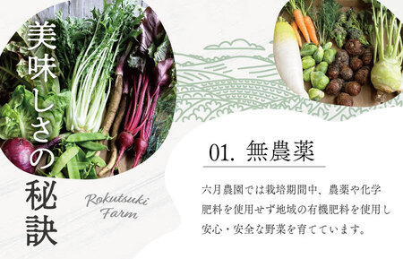 野菜おまかせセット【宮殿の厨房野菜 六月農園】野菜詰め合わせ N5