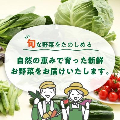 ふるさと納税 御坊市 【発送月固定定期便】旬の新鮮野菜セット8種以上 奇数月にお届け【野菜詰め合わせ】全6回 |  | 01