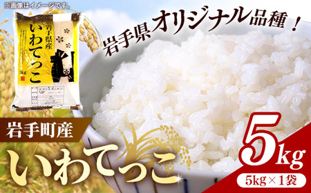 令和7年産 お米 精米 いわてっこ 5kg ブランド米 岩手町産
