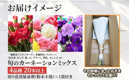 <選べる配送月> 北海道 カーネーション ミックス 4品種 20本以上 花 花束 切花 ブーケ 旬 季節 詰め合わせ 生花 フラワー アレンジメント 産地直送 つきがたふるさと花の会 送料無料 202