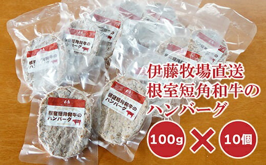 【ふるさと納税】 [北海道根室産] 短角和牛のハンバーグ 100g × 10P 短角和牛 牛 牛肉 ビーフ ミンチ ハンバーグ お取り寄せ グルメ おかず 北海道 根室市 ふるさと納税 A-13024