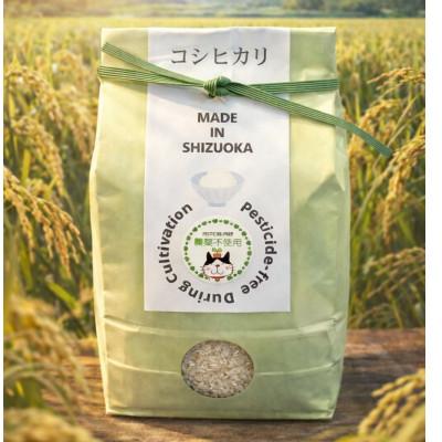 ふるさと納税 静岡市 【令和7年産・精米】静岡県産こしひかり2kg/栽培期間中農薬不使用