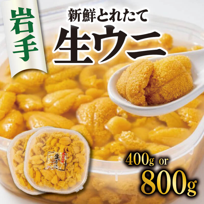 【ふるさと納税】 生うに 選べる容量 400g 1パック or 800g 2パック 冷蔵 ミョウバン不使用 無添加 生ウニ うに ウニ たっぷり 岩手県産 雲丹 期間限定 季節限定 三陸 岩手 大船渡市 今が旬