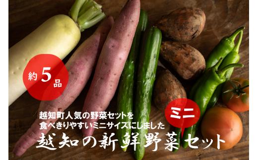 
越知産市の季節の野菜ミニセット　産地直送　旬野菜
