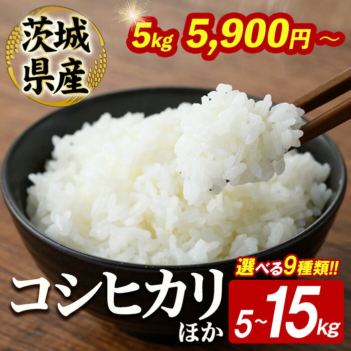 【ふるさと納税】 【緊急支援品】 ＜選べる内容量＞ コシヒカリ にじのきらめき つきあかり 5kg 10kg 15kg 米 お米 令和7年産 令和8年産 新米 精米 白米 こめ 5キロ 10キロ 15キロ 茨城県産 【有限会社宇佐美米店】【有限会社桂農産】【一般財団法人常陸大宮市観光物産協会】