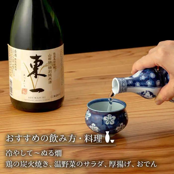 日本酒 東一 日本酒飲み比べ2種 NBQ002 