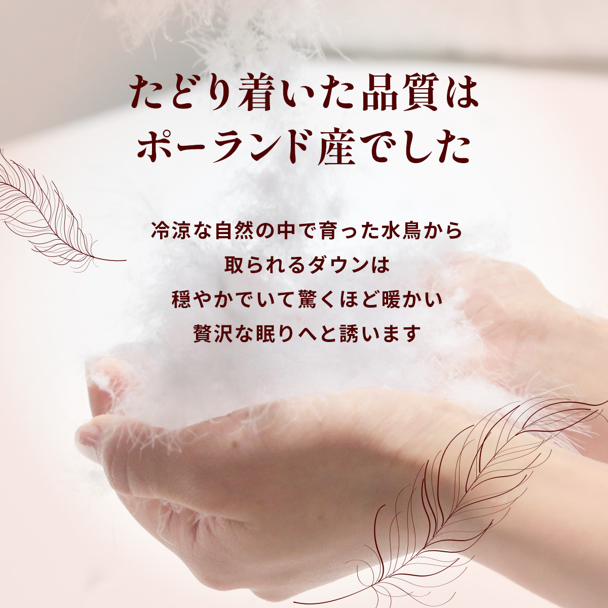 羽毛ふとん ポーランドダックダウン85％ ダブル | 寝具 布団 ふとん 羽毛布団 羽毛 綿 綿生地 ダックダウン ダウン ポーランド産 ポーランドダックダウン 手作り布団 日本製布団 日本製 手作り