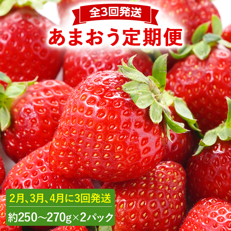 【2026年発送先行予約】あまおう2パック×3回発送定期便 (2月,3月,4月発送) 定期便 約250～270g×2パック いちご フルーツ 果物 あまおう 苺 イチゴ 福岡【発送時期2026年2月,3月,4月】