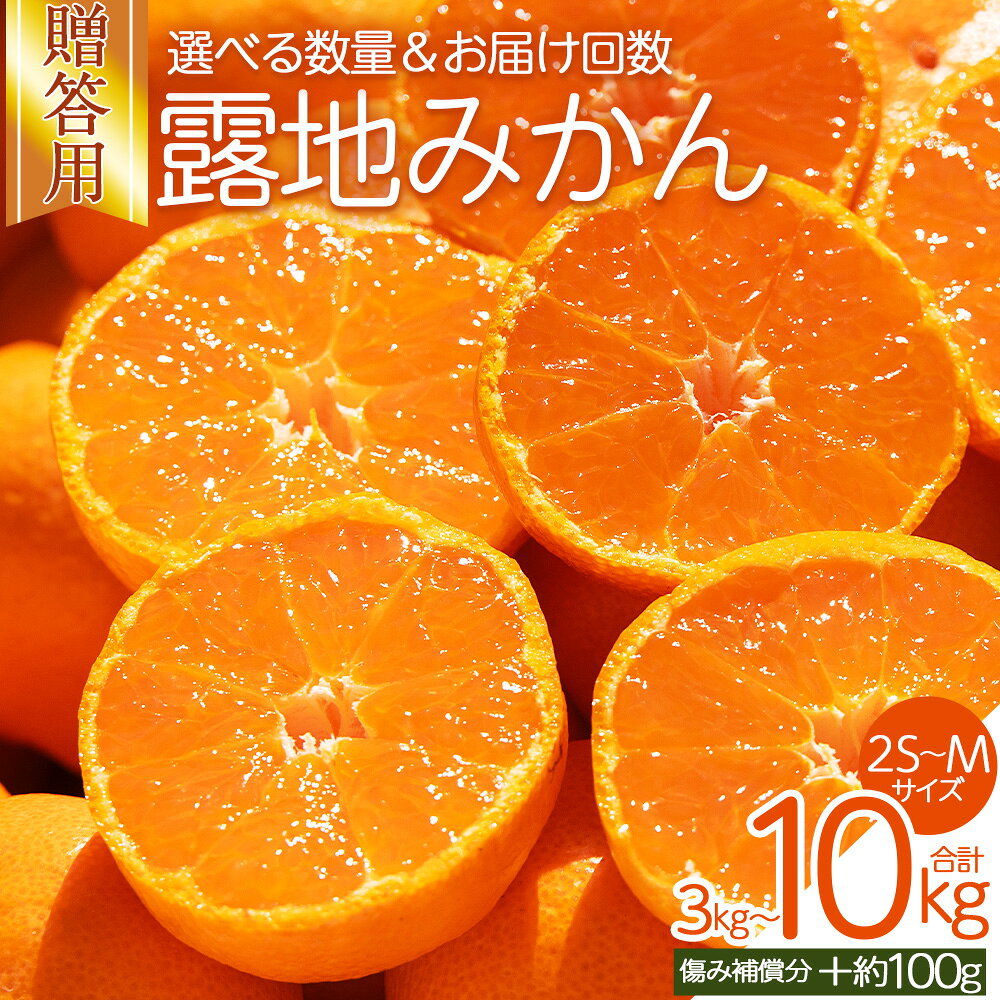 【ふるさと納税】【2026年10月下旬発送】露地みかん(2S〜Mサイズ) 3kg/5kg/10kg 贈答用 （傷み補償分 ＋約100g）- 先行予約 数量限定 大容量 小玉 ミカン 蜜柑 柑橘 フルーツ 果実 果物 青果 贈物 贈り物 御礼 お礼 国産 5キロ ギフト高知県 香南市【常温】 Rom-0010