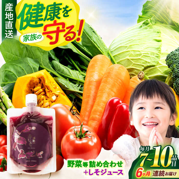 【ふるさと納税】【全6回定期便】野菜・果物・きのこ詰め合わせ 7〜10品目 / 野菜 やさい 果物 くだもの フルーツ ふるーつ きのこ 旬 新鮮 セット / 諫早市 / 松尾農園 [AHAY010]