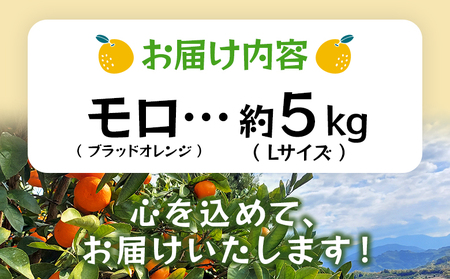 ＜モロ（ブラッドオレンジ）約5kg＞ 果物 フルーツ みかん ミカン 蜜柑 オレンジ 柑橘 もろ ぶらっどおれんじ 食べて応援 特産品 JA えひめ南農業協同組合 愛媛県 西予市 【常温】『2025年