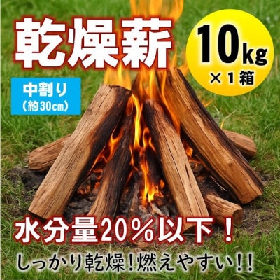 【毎月定期便】乾燥薪 キャンプ用 10kg 中割(約30cm) 広葉樹ミックス全3回【4087727】