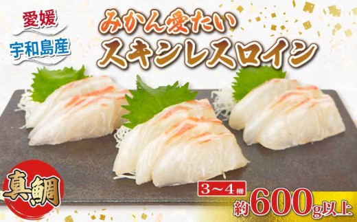 真鯛 みかん愛たい スキンレスロイン 3～4柵 600g 以上 南予ビージョイ  お刺身 ロイン 鯛しゃぶ カルパッチョ 鯛めし 鯛茶漬け tai 産地直送 お取り寄せ 新鮮 鍋 海鮮鍋 冷蔵 個包装