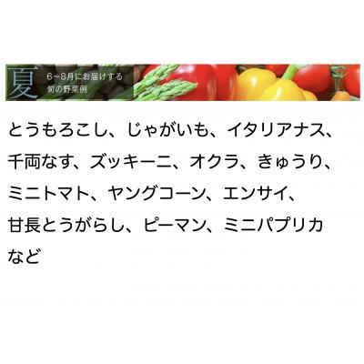 ふるさと納税 館山市 【毎月定期便】【下旬発送】こだわりの旬野菜BOX「リエビン」季節の野菜セット全6回 |  | 02