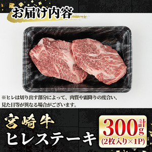 宮崎牛 ヒレステーキ(300g) 希少部位 BBQ 牛肉 肉 ブランド牛  冷凍 国産 精肉 お取り寄せ 黒毛和牛 宮崎県 【LJ013】【レグセントジョイラー株式会社】