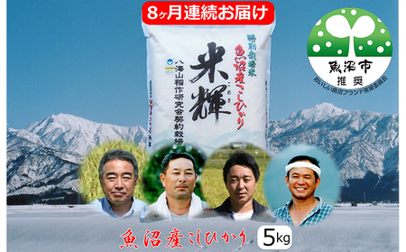 新潟県認証【特別栽培米】魚沼産こしひかり　5kg　8ヶ月連続お届け