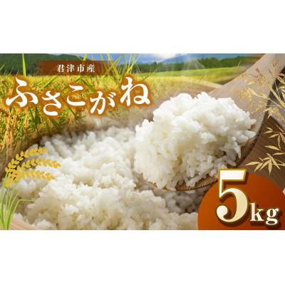 ふるさと納税 君津市 【令和7年度産】君津市産ふさこがね　精米　5kg×1袋