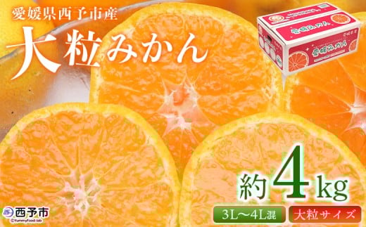 ＜愛媛県西予市産 大粒みかん 約4kg＞ 果物 くだもの フルーツ 柑橘 みかん 蜜柑 ミカン オレンジ 温州みかん 大粒 サイズ混合 食べて応援 特産品 宇都宮物産 愛媛県 西予市【常温】『2025年10月中旬～2026年1月下旬迄に順次出荷予定』