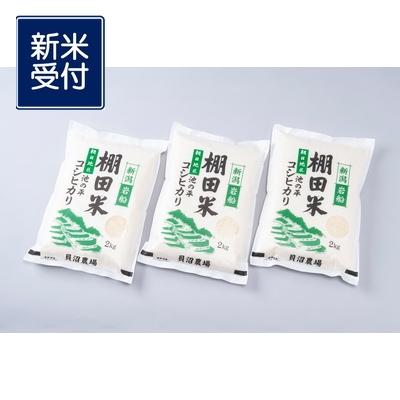 ふるさと納税 村上市 【新米受付・令和7年産米】新潟県岩船産　棚田米コシヒカリ6kg NA4184