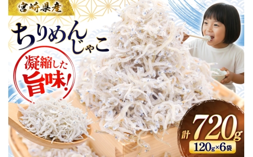ちりめん 宮崎県産 無添加 ちりめんじゃこ 120g 6p 計720g [幸脇漁業生産組合 宮崎県 日向市 452061654]  じゃこ 国産 しらす干し 小分け ジャコ 保存料不使用