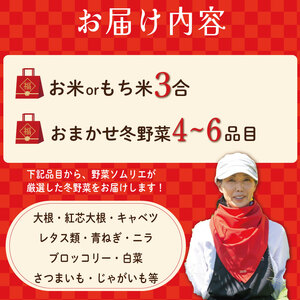 お米 野菜 福袋 米 もち米 3合 冬野菜 4～6品目 白菜 野菜 じゃがいも 野菜 さつみも 野菜