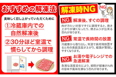 【6ヶ月定期便】牛肉 肉 黒毛和牛 切り落とし 訳あり 大容量 小分け 2kg 1パック 250g 定期便《お申込み月翌月から出荷開始》岡山県産 岡山県 笠岡市 お肉 にく カレー 牛丼 切り落し 切