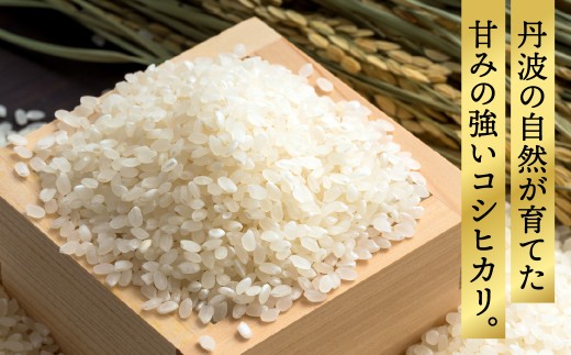 【3ヵ月定期便】丹波 コシヒカリ 令和8年産 5kg 精米 新鮮 白米 兵庫県丹波市産 寒暖差 甘み 精米したて