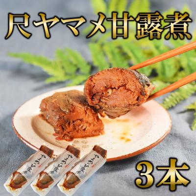 ふるさと納税 三股町 尺ヤマメ甘露煮3本【MI756】