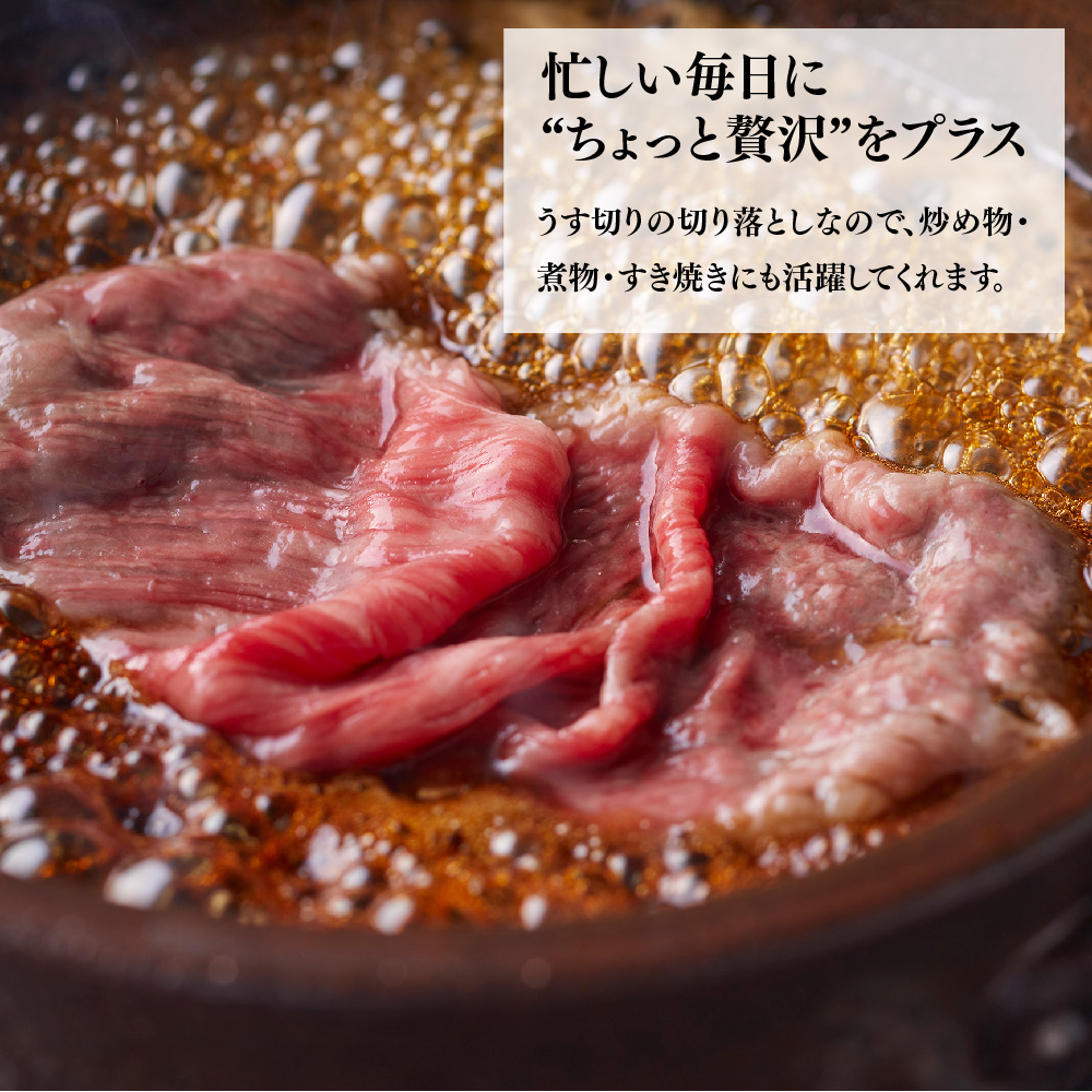 艶さし!【A4～A5】佐賀牛大判霜降り贅沢切り落とし 750g(250g×3P)【佐賀牛 切り落とし 霜降り 肩ロース 大判 一枚肉 薄切り 250g 小分け】(H112341)