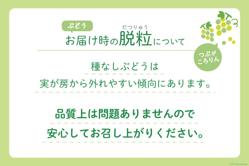 【2025年発送】ぶどう シャインマスカット 約1.2kg (2房) [梨北農業協同組合 山梨県 韮崎市 20742921] フルーツ 果物 くだもの ブドウ 葡萄 種なし 1.2キロ 甘い 期間限定