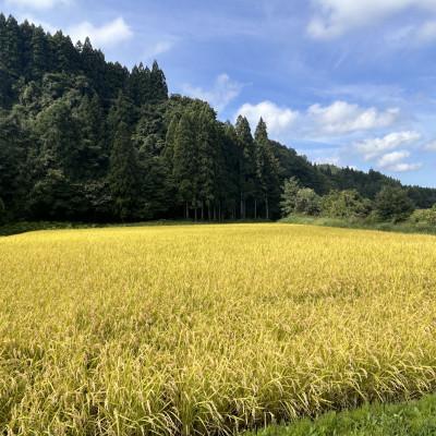 ふるさと納税 十和田市 【令和7年産】青森県産 はれわたり 玄米 10kg |  | 01