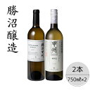 【ふるさと納税】勝沼醸造　勝沼甲州・甲州ヴィンテージ2本セット ふるさと納税 ワイン 笛吹市 山梨ワイン 酒 アルコール 山梨県 記念品 お祝い 送料無料 167-044