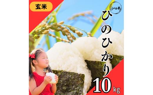 令和7年度産 ヒノヒカリ 玄米 10kg ブランド米 米 玄米 国産 食味 白飯 ご飯 もちもち 特A評価 ひのひかり こめ お米 okome kome おむすび おにぎり弁当 美味しい 朝食 取り寄せ 魚 肉 の おかず にあう 福岡県 柳川市 宝物産