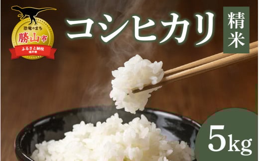 【令和6年産】【勝山市産】田中さんちのコシヒカリ 精米 5kg [A-080006]