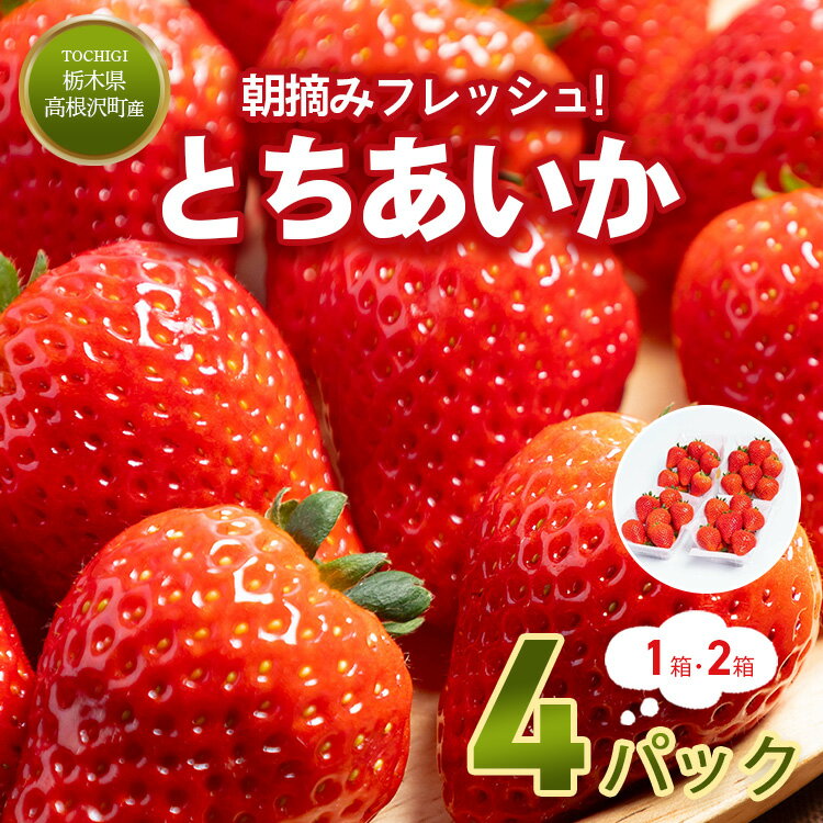 【ふるさと納税】＼選べる内容量／とちあいか4パック (1箱 または 2箱) | いちご 苺 イチゴ とちあいか フルーツ スイーツ デザート 人気 産地直送 特産品 栃木県 高根沢町　※2026年1月上旬～4月下旬頃に順次発送予定 ※北海道・沖縄・離島への配送不可
