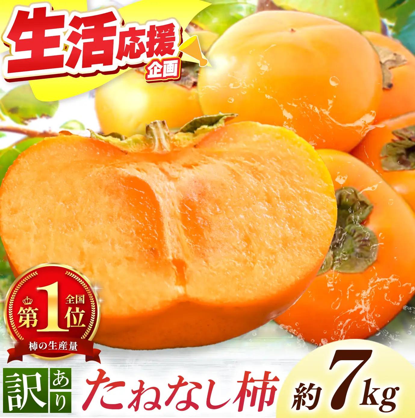  【 先行予約 】 【なら育ち 益田農園】たねなし柿　訳アリ　約7kg(28玉～36玉）｜フルーツ 果物くだもの 柿 かき カキ  柿 奈良県 五條市