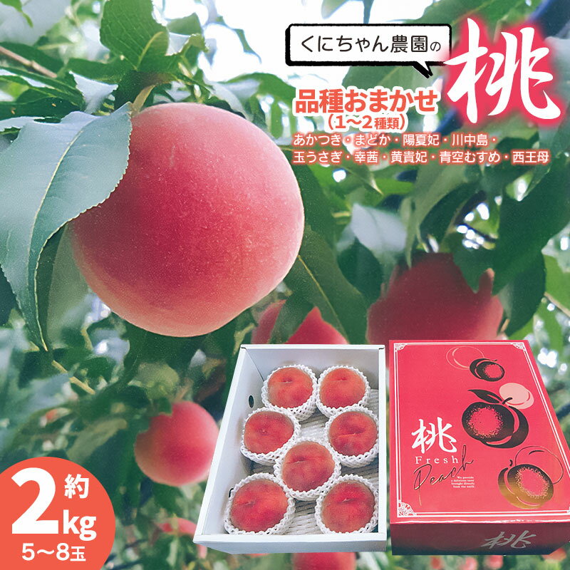 【ふるさと納税】【令和7年産先行予約】桃 品種おまかせ　約2kg（5～8玉）　くにちゃん農園