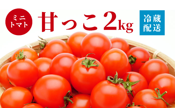 北海道伊達産 ミニトマト 甘っこ 2kg とまと 甘い 野菜 やさい 人気 新鮮 産地直送 農家直送 先行受付_イメージ5