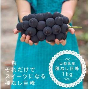 【2025年先行受付】巨峰ぶどう(種なし) 　2房　1kg 以上　産地直送　山梨県山梨市牧丘産【配送不可地域：離島・沖縄県】【1535963】