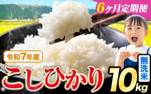 【6ヶ月定期便】令和7年産  無洗米 こしひかり 10kg(5kg×2袋)《お申込みの翌月出荷》熊本県産 ふるさと納税 無洗米 精米 ひの 米 こめ ふるさとのうぜい コシヒカリ コメ お米 おこめ