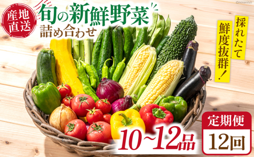 野菜定期便【12回定期便】毎月連続お届け 旬の新鮮 野菜詰め合わせセット（10品～12品） / 詰め合わせ 詰合せ 旬 セット 果物 定期便 野菜 野菜セット 新鮮 野菜詰め合わせ 旬野菜 やさいセット やさい 旬 野菜定期便 春野菜 夏野菜 秋野菜 国産 新鮮野菜 季節の野菜 サラダ スープ 炒め物 お任せ / 南島原市 /長崎県農産品流通合同会社[SCB097]