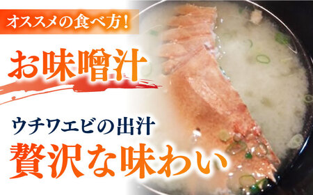【2025年先行予約】【プリプリ食感と旨み】希少 うちわえび 約500g (3?9尾) ウチワエビ うちわエビ 海老 カニ 五島市/五島FF [PBJ011]