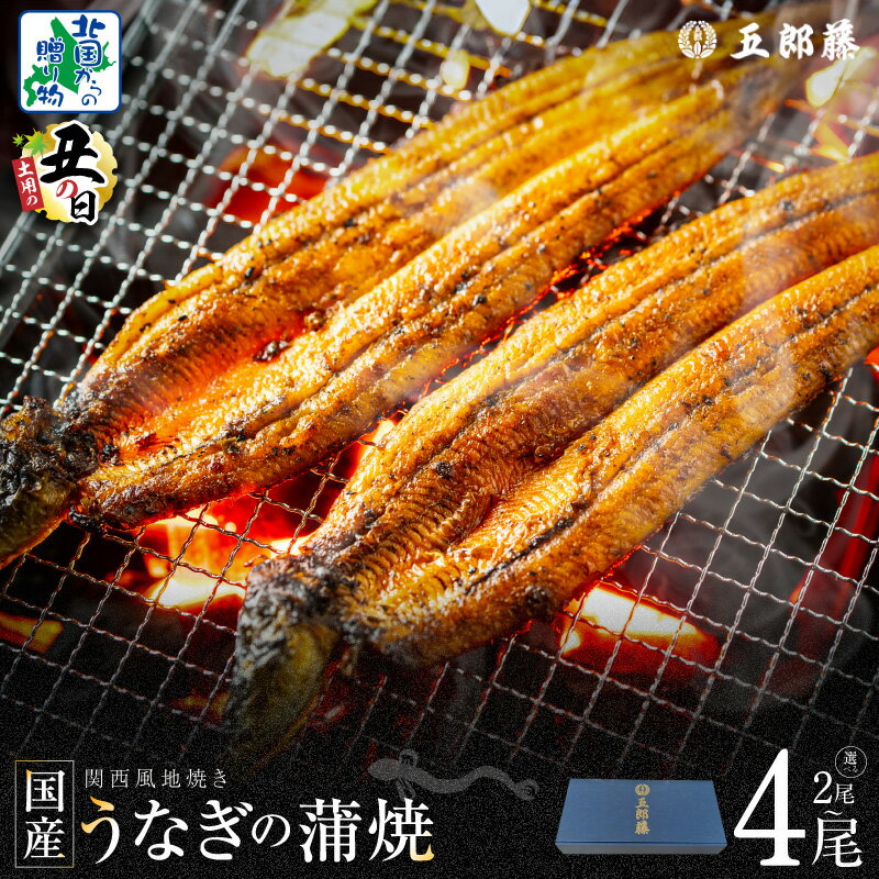 【ふるさと納税】五郎藤 関西風地焼き 国産 有頭旨鰻 120g 2尾 計約 240g前後 / 4尾 計 約 480g前後 老舗 うなぎ 蒲焼き 炭火 たれ 粉山椒付き ウナギの蒲焼 手軽 簡単 魚介類 惣菜 うな丼 ひつまぶし 先行予約 土用の丑の日 冷凍 化粧箱入り 泉佐野市 送料無料