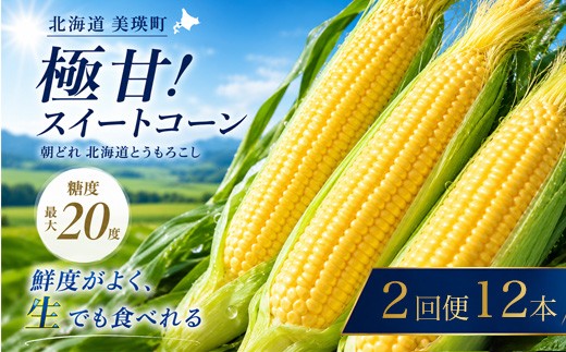 【先行予約】とうもろこし（ほしつぶコーン）12本  定期便 2回 <令和8年産 >黒木農場 |  北海道とうもろこし スイートコーン イエローコーン 糖度 甘い  朝どれ 朝採れ とうきび 新鮮 旬 野菜 夏野菜 美瑛産 北海道 とうもろこし北海道 令和8年発送  [022-50]