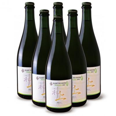 ふるさと納税 上ノ国町 北海道 上ノ国ワイナリーの白ワイン「上の白ナイアガラ2023」　750ml×6本